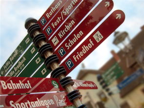 九游娱乐网页版-高校运动队选拔机制公平性研究，高校运动队选拔机制公平性研究报告