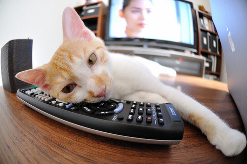 九游手机游戏-恩波利主场战绩提升增强保级信心，恩波利队