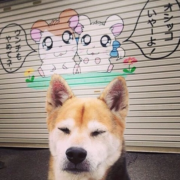 九游体育网址-2026世界杯官方虚拟形象首次亮相，未来数字互动新体验，2026世界杯出线规则